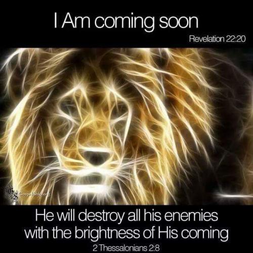 KINGISCOMING.9.