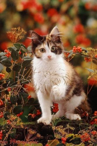 FB_IMG_1631457590167