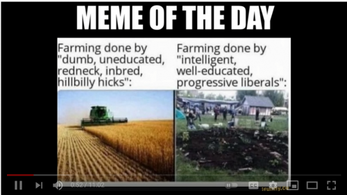 Liberal Hivemind meme of the day