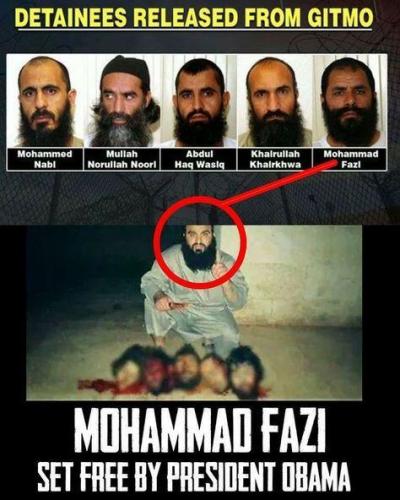Mohammad Fazi released by Obama