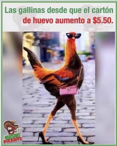 FB_IMG_1634859556259