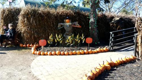 IMG_20211023_144746
