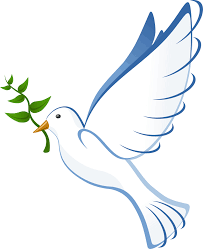 Dove pic Chris Anniversary Passing
