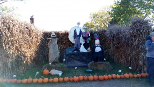 IMG_20211023_144908