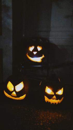 IMG-20211029-WA0172