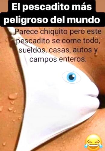 FB_IMG_1635481165524~3