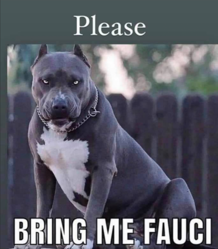fauc