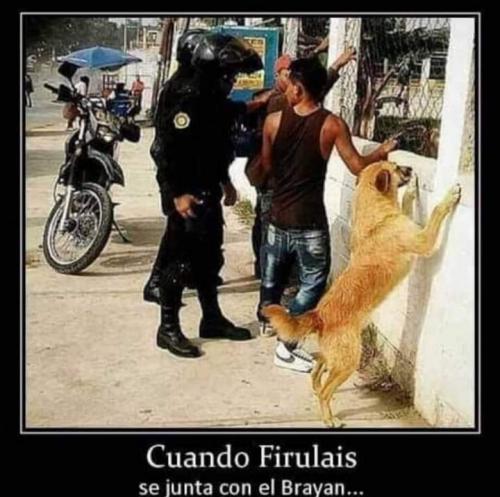 FB_IMG_1635483059470