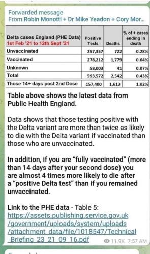 MichaelYeadonConveyedVaxxedVsUnvaxxedData