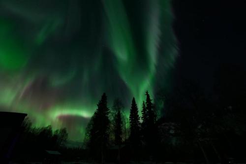 IMG-20211105-WA0150