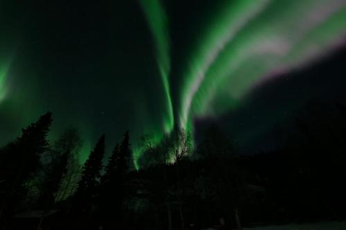 IMG-20211105-WA0159
