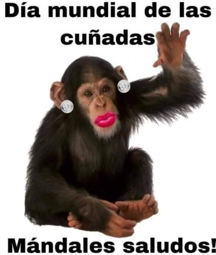 FB_IMG_1636436268543