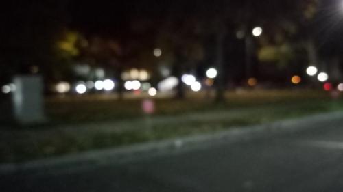 IMG_20211115_171746