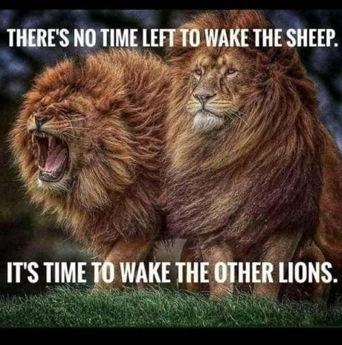 NoTimeLeftToWakeTheSheep
