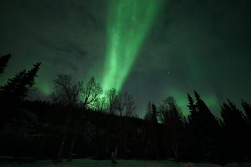 IMG-20211105-WA0140