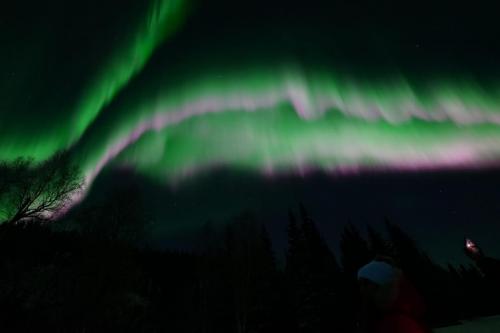 IMG-20211105-WA0148