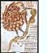 Biblia de Avila-3