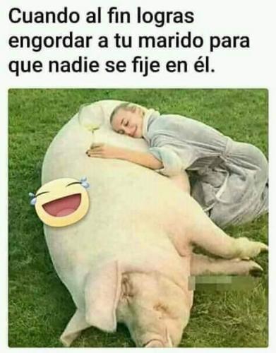 FB_IMG_1636329671782