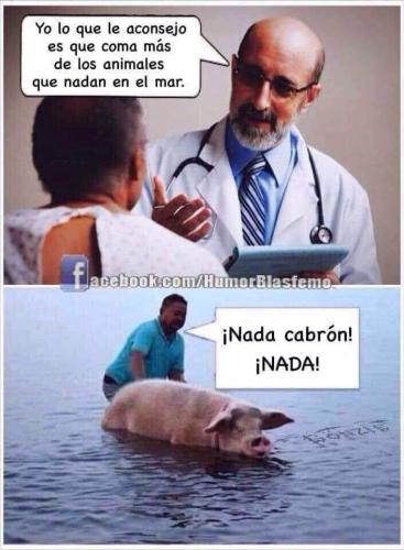 FB_IMG_1637214575572
