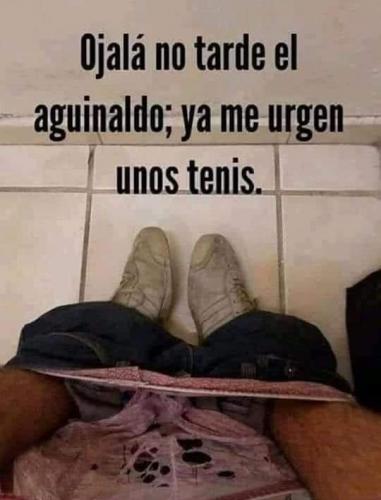 FB_IMG_1638139317586~2