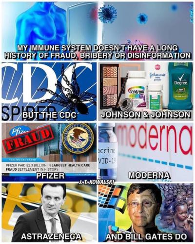 ImmuneSystemNotFraud