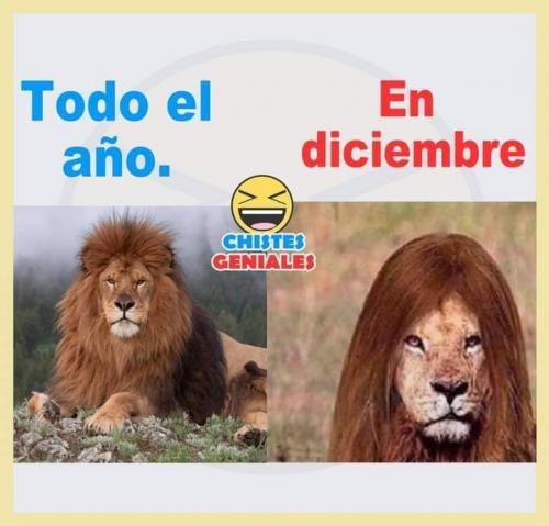 FB_IMG_1637214674922