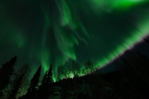 IMG-20211105-WA0161