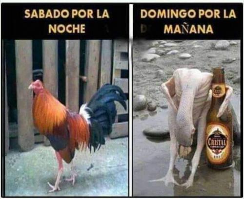 FB_IMG_1637476608794