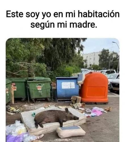 FB_IMG_1637444432959