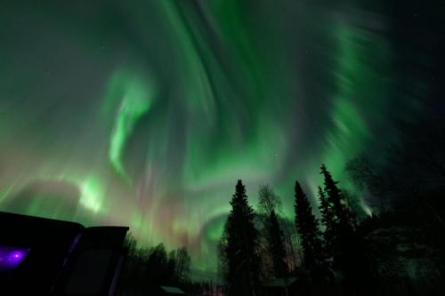 IMG-20211105-WA0158
