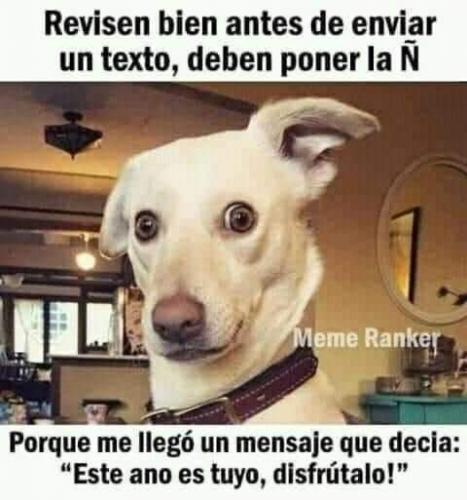 FB_IMG_1637735997853