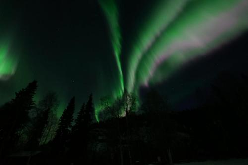 IMG-20211105-WA0147