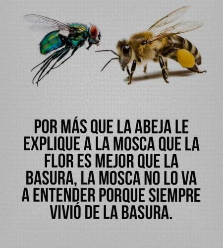 FB_IMG_1636144091577~2