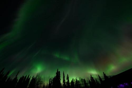 IMG-20211105-WA0157