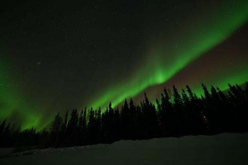 IMG-20211105-WA0155