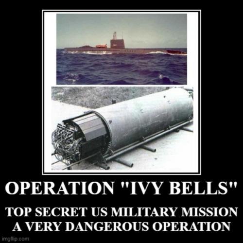 ivybells