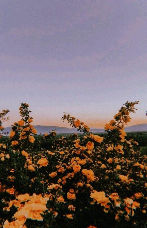 valley