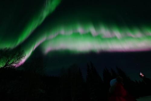 IMG-20211105-WA0149