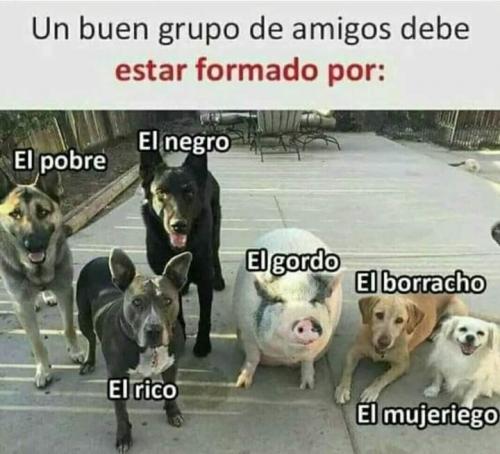 FB_IMG_1638169372989