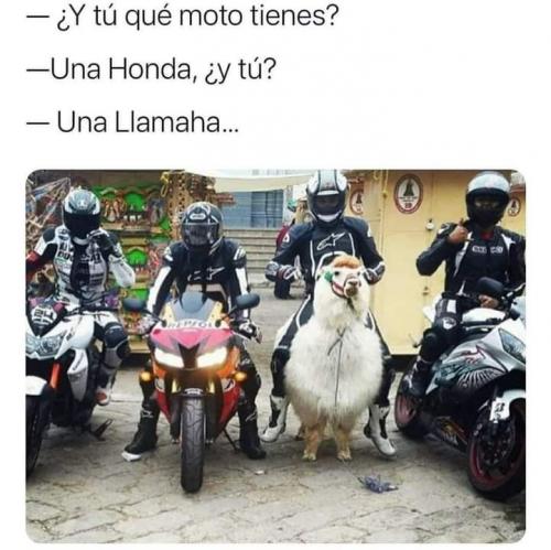 FB_IMG_1637889488459