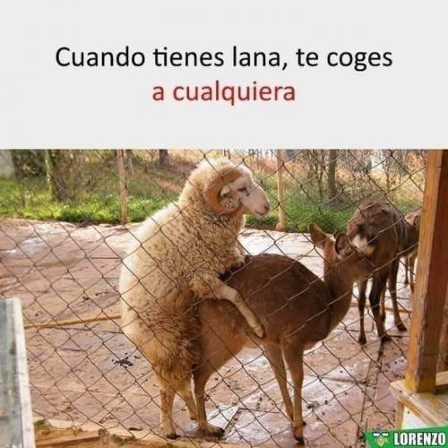 FB_IMG_1639879153751