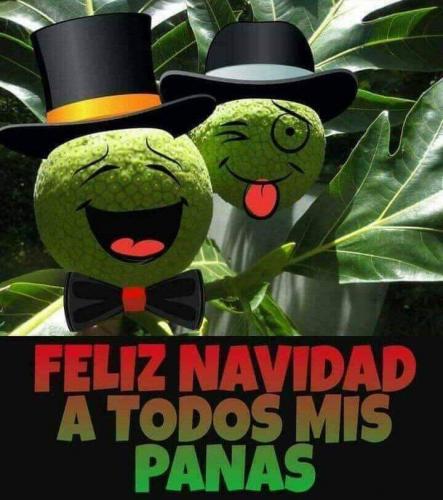 FB_IMG_1640133735446