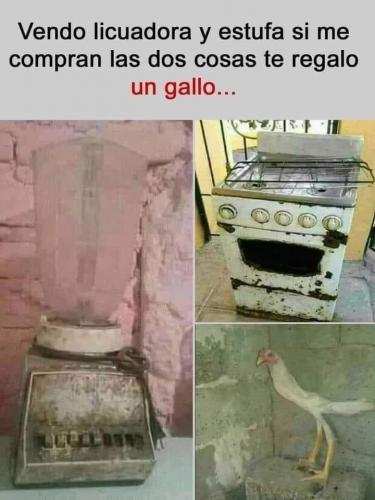 FB_IMG_1639963055036