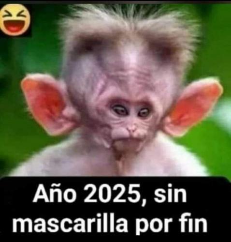 FB_IMG_1640017623227