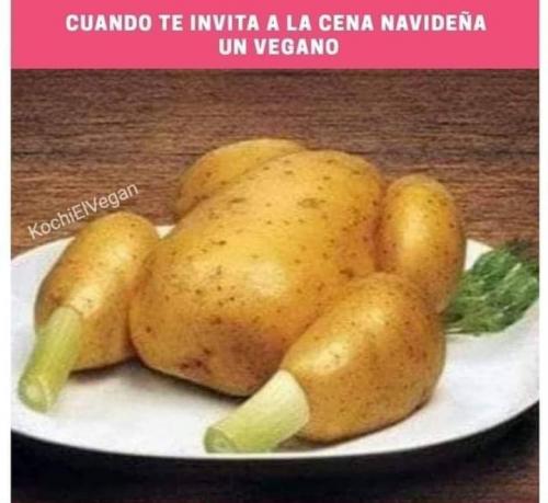 FB_IMG_1639461386053~2