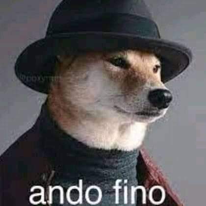 FB_IMG_1640041427688