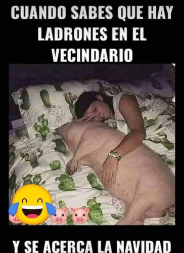 FB_IMG_1640397994332