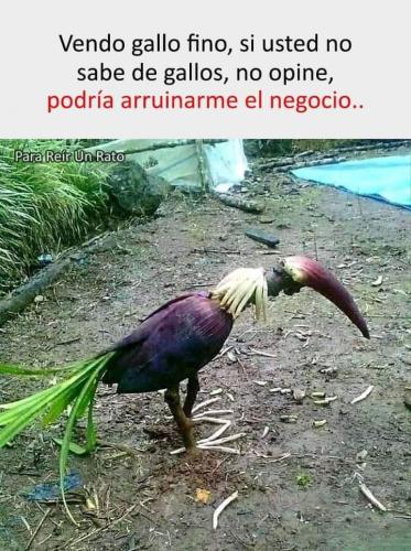 FB_IMG_1643514109956