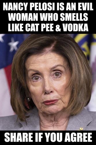 catpeevodka