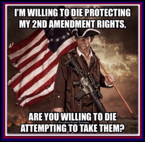 2A_FreedomFromTyranny